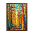 The Light Through the Forest – Framed Poster
