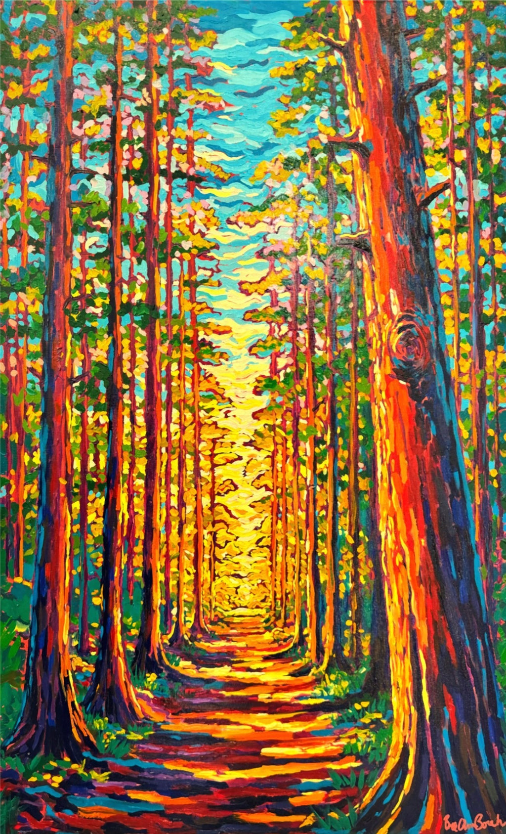 The Light Through the Forest